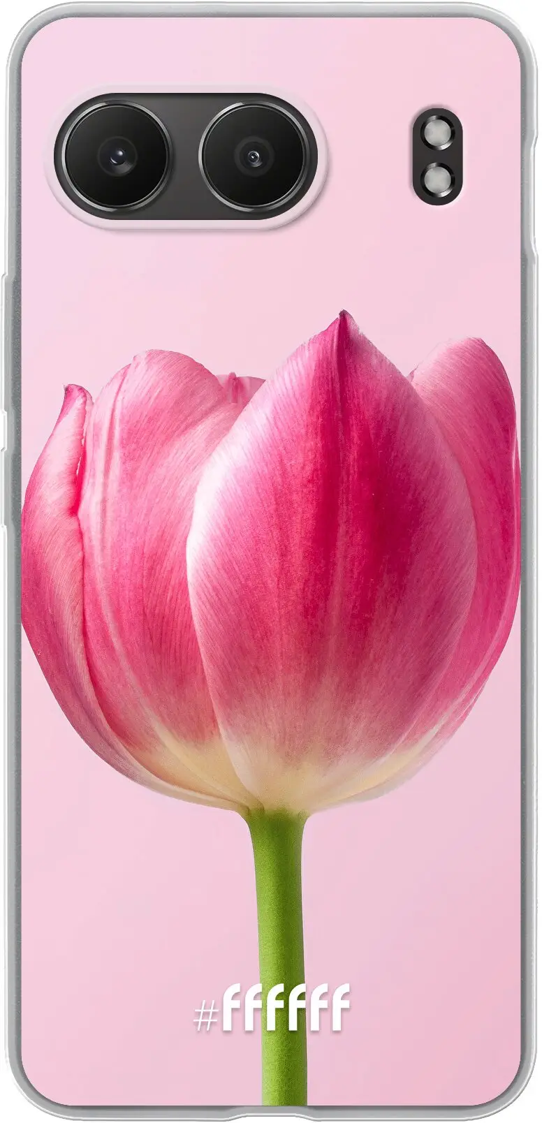 Pink Tulip Nord 4