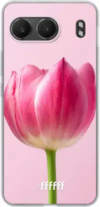 Pink Tulip Nord 4