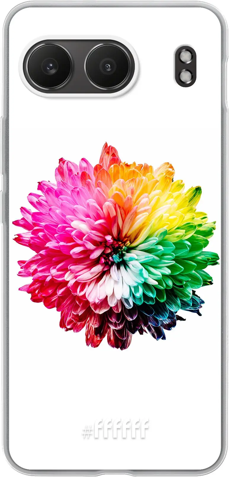 Rainbow Pompon Nord 4