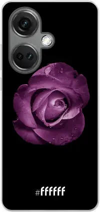 Purple Rose Nord CE 3 5G