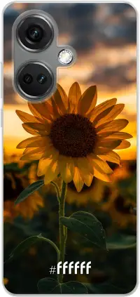 Sunset Sunflower Nord CE 3 5G