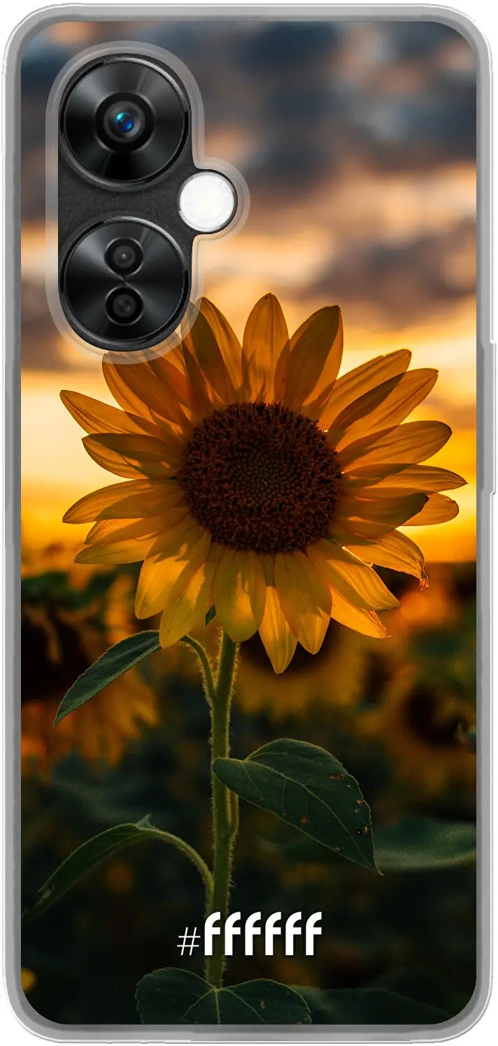 Sunset Sunflower Nord CE 3 Lite