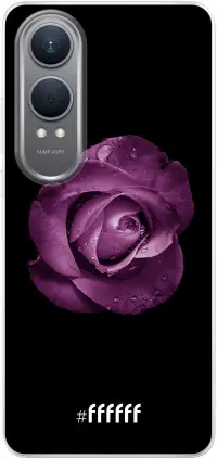 Purple Rose Nord CE4 Lite