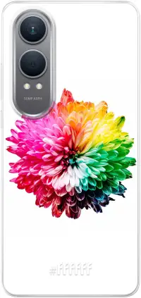 Rainbow Pompon Nord CE4 Lite