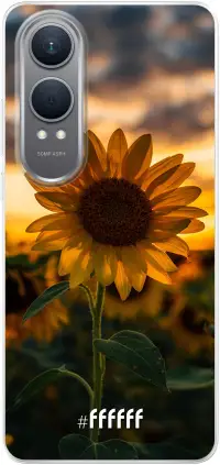 Sunset Sunflower Nord CE4 Lite