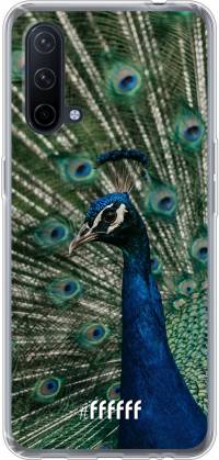 Peacock Nord CE 5G