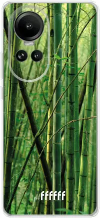 Bamboo Reno 10