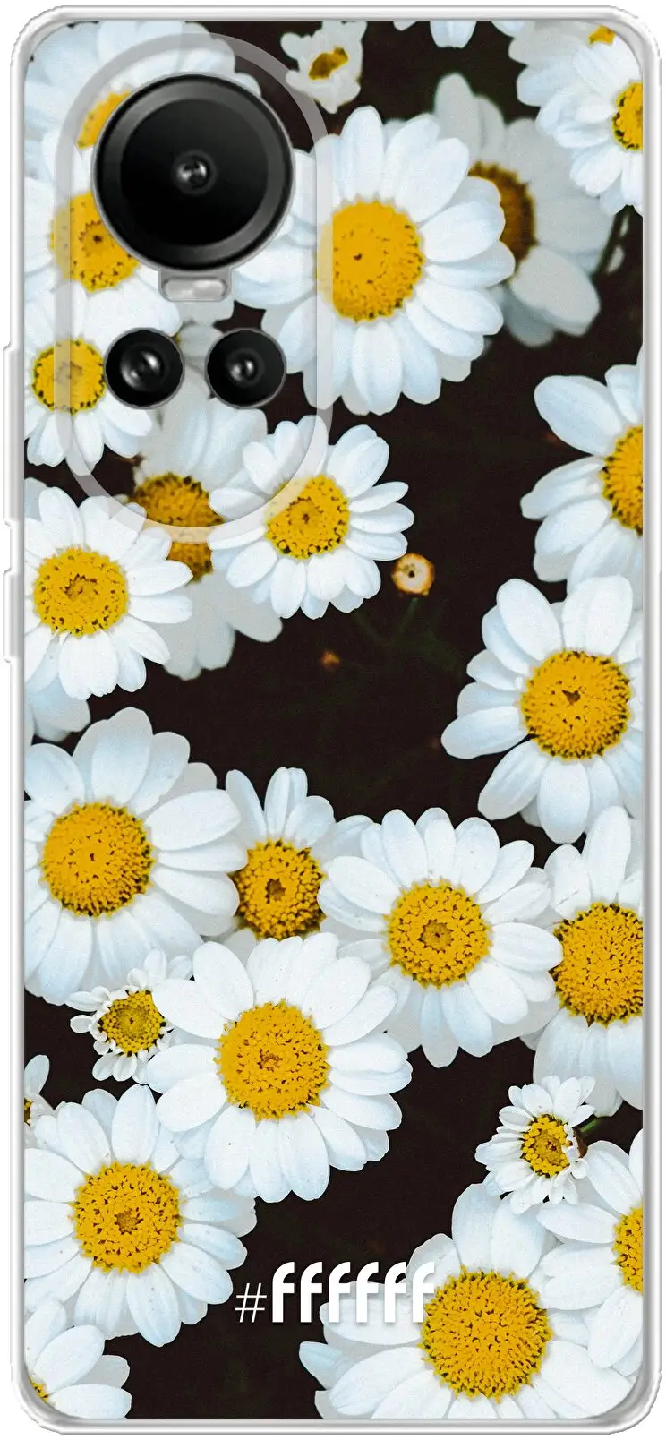 Daisies Reno 10