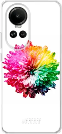 Rainbow Pompon Reno 10