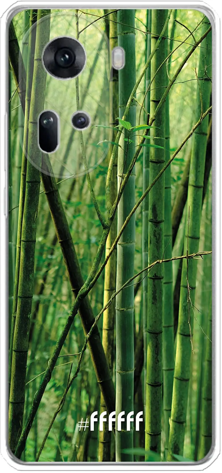 Bamboo Reno 11