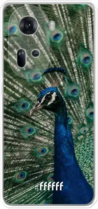 Peacock Reno 11