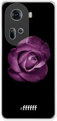 Purple Rose Reno 11