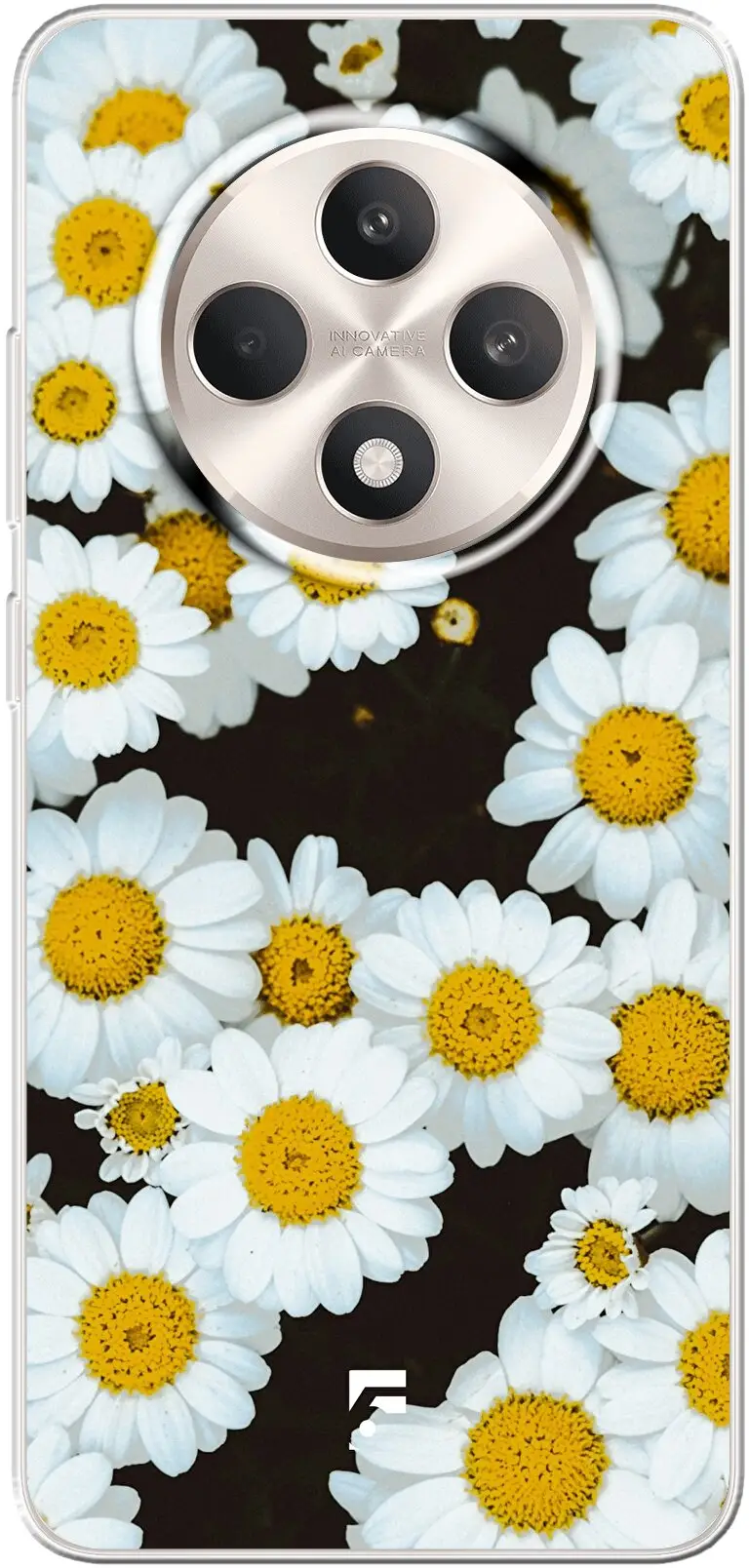 Daisies Reno12 F
