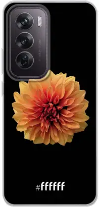 Butterscotch Blossom Reno12 Pro