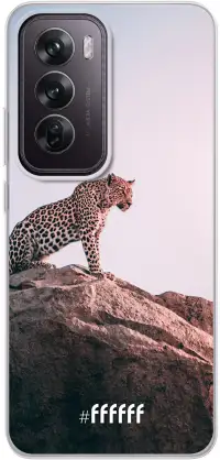 Leopard Reno12 Pro