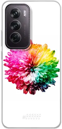 Rainbow Pompon Reno12 Pro