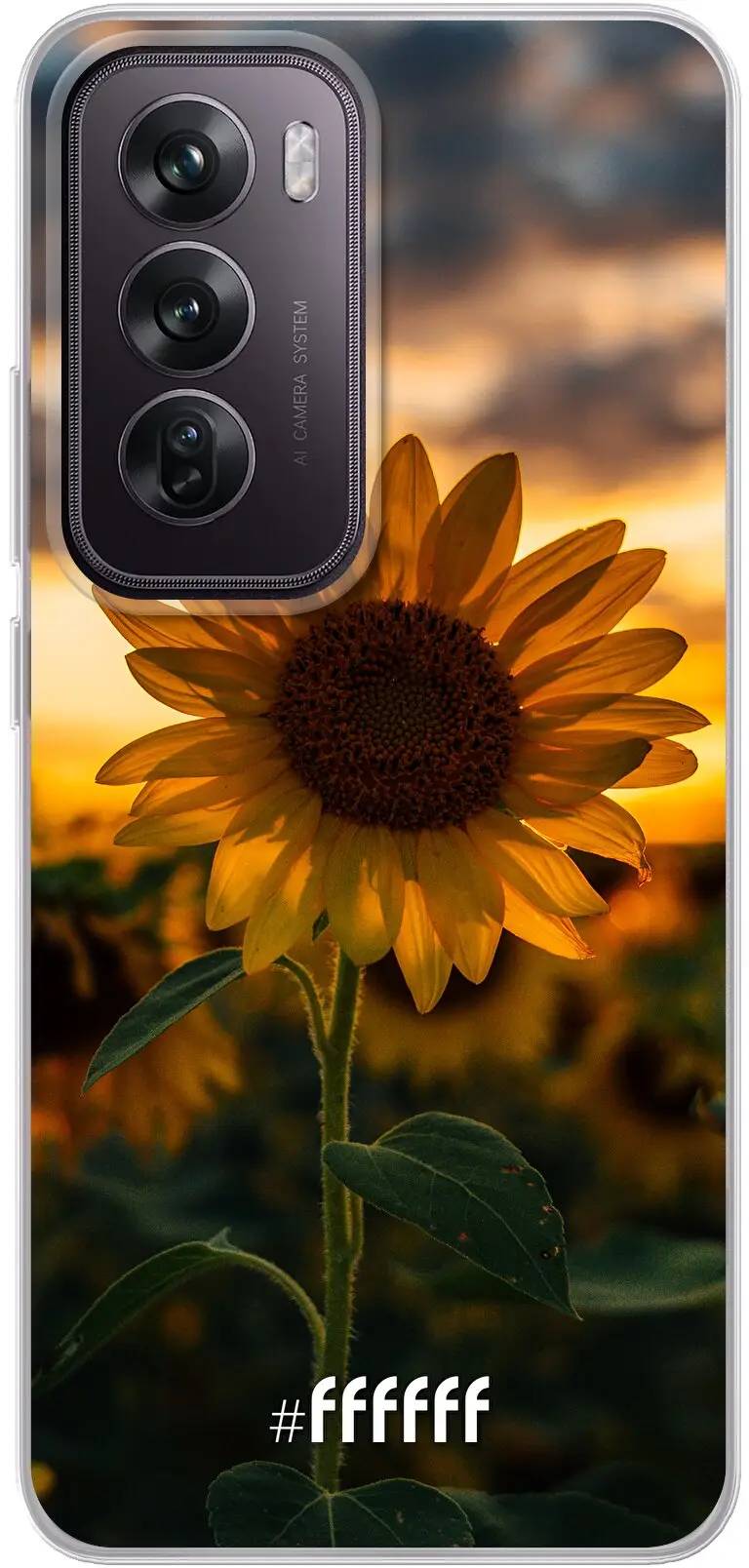 Sunset Sunflower Reno12 Pro