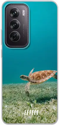 Turtle Reno12 Pro