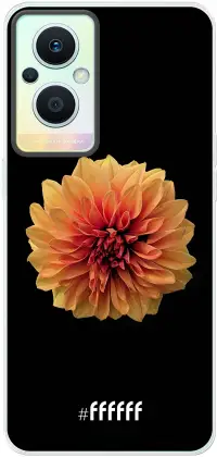 Butterscotch Blossom Reno8 Lite