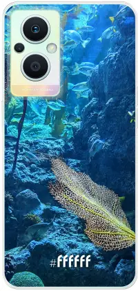 Coral Reef Reno8 Lite