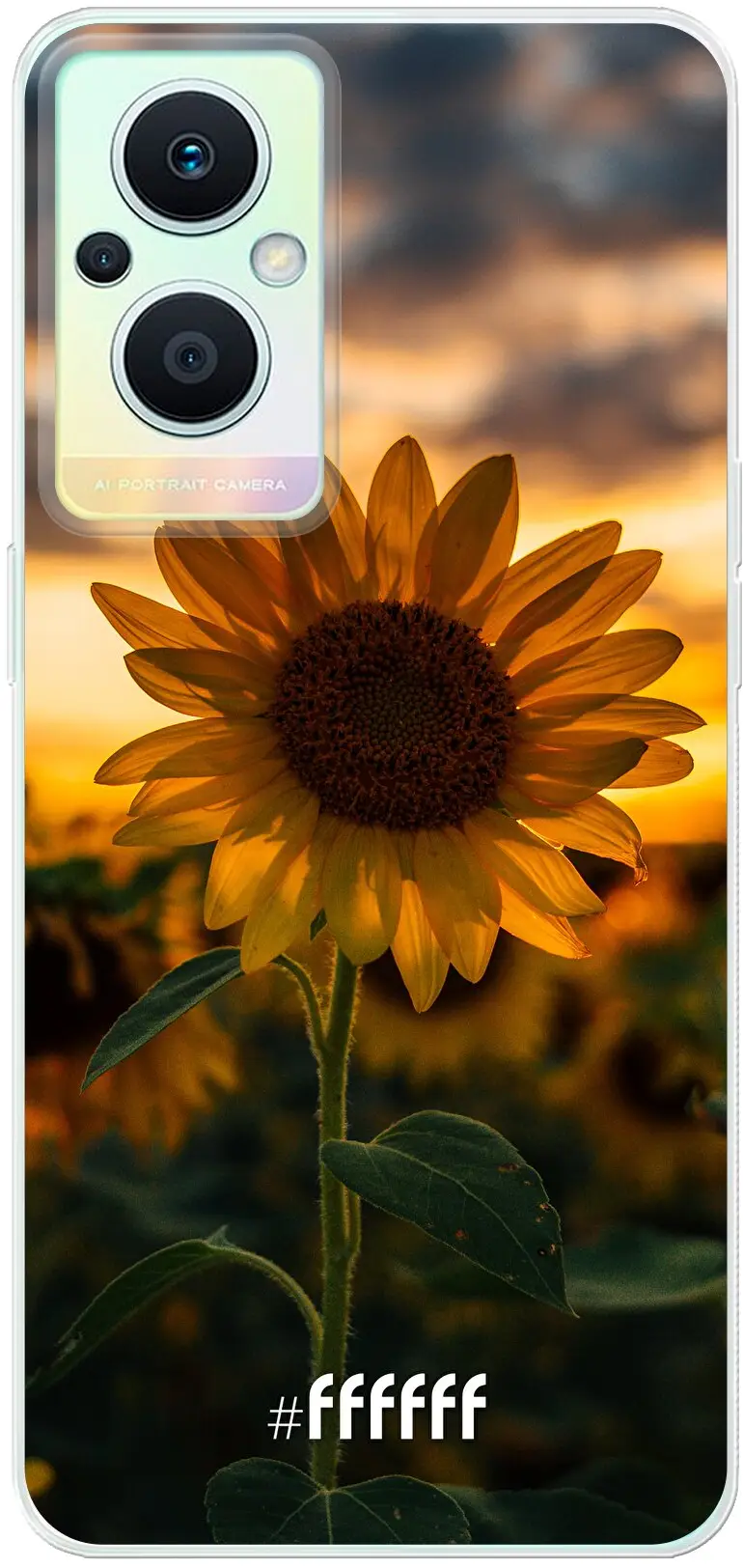 Sunset Sunflower Reno8 Lite