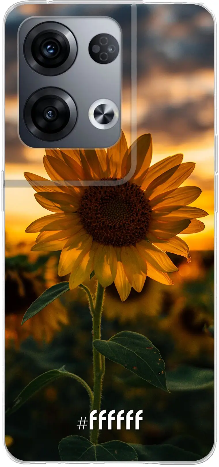 Sunset Sunflower Reno8 Pro