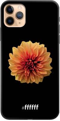 Butterscotch Blossom iPhone 11 Pro Max