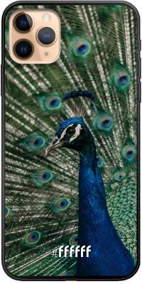 Peacock iPhone 11 Pro Max