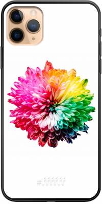Rainbow Pompon iPhone 11 Pro Max