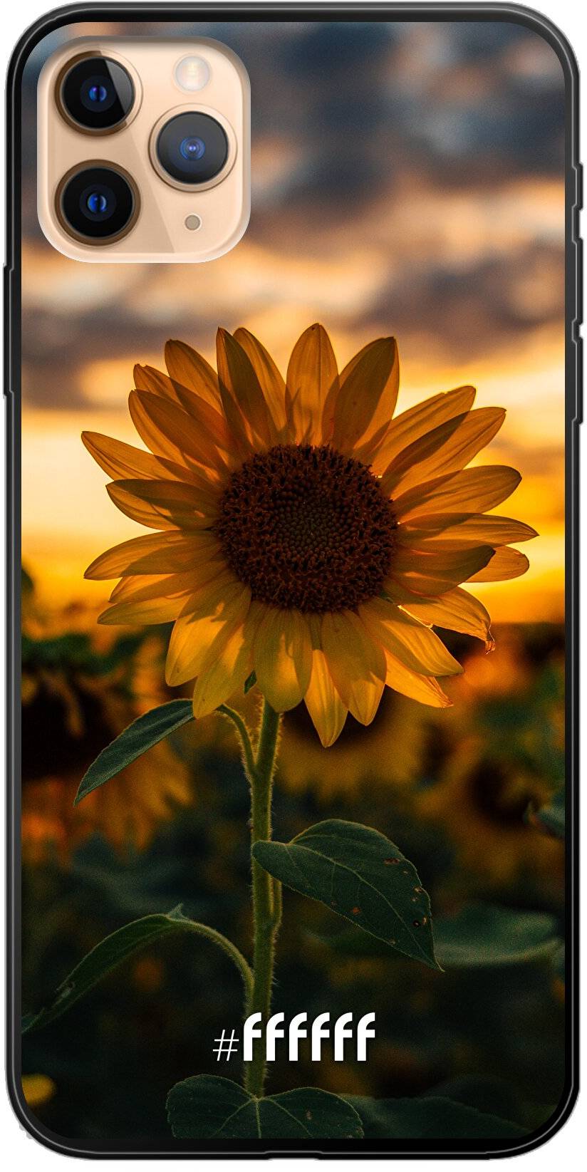 Sunset Sunflower iPhone 11 Pro Max