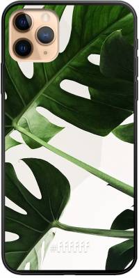 Tropical Plants iPhone 11 Pro Max