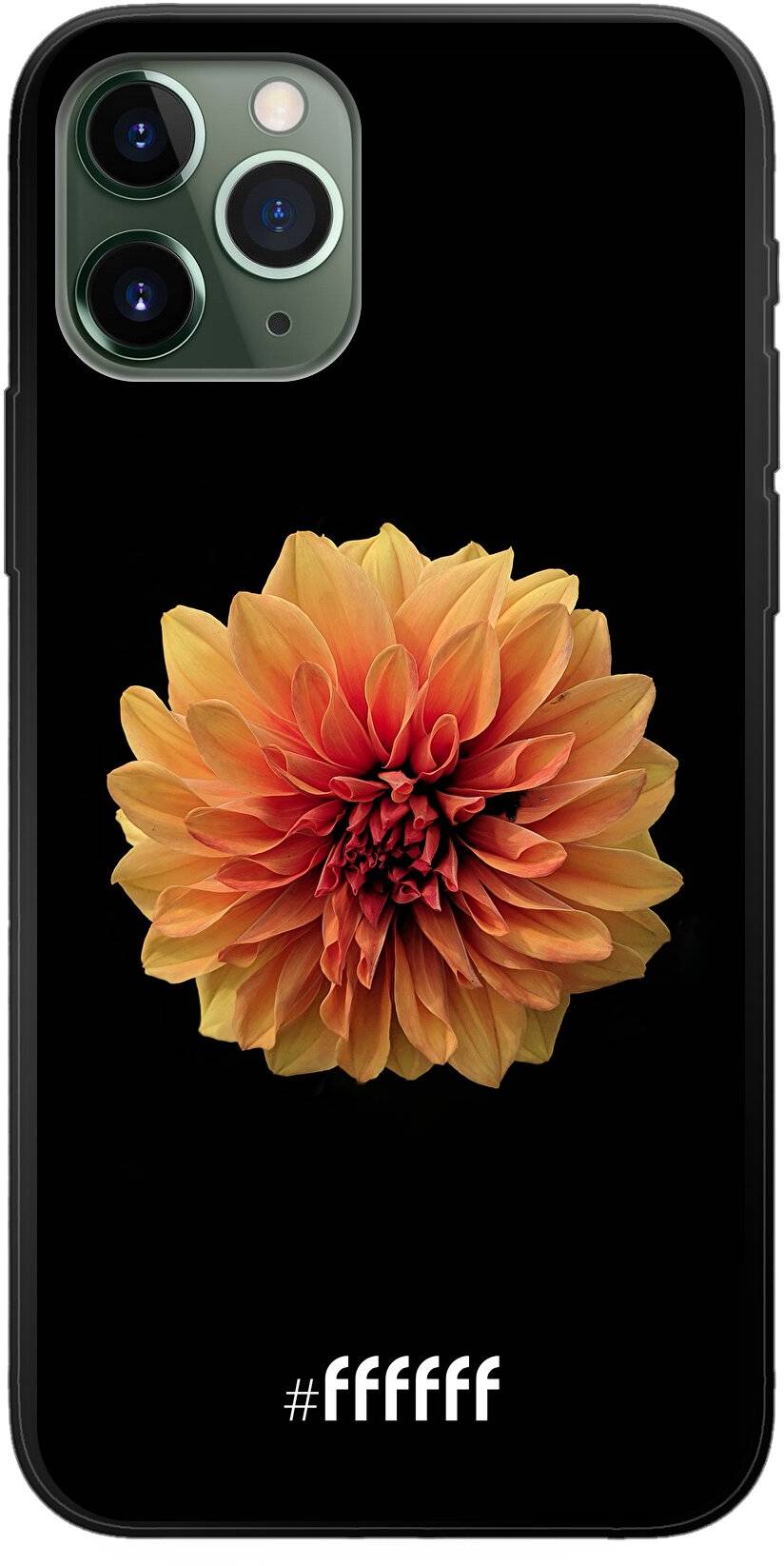 Butterscotch Blossom iPhone 11 Pro