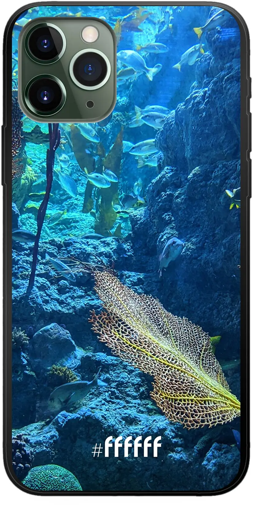 Coral Reef iPhone 11 Pro