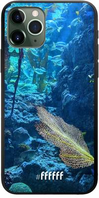 Coral Reef iPhone 11 Pro