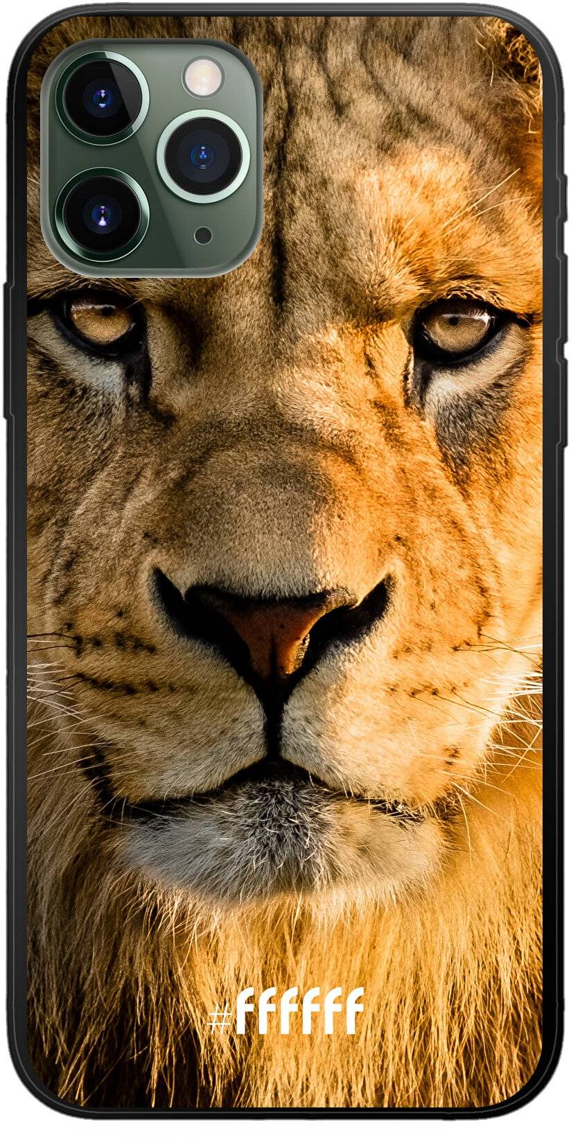 Leo iPhone 11 Pro