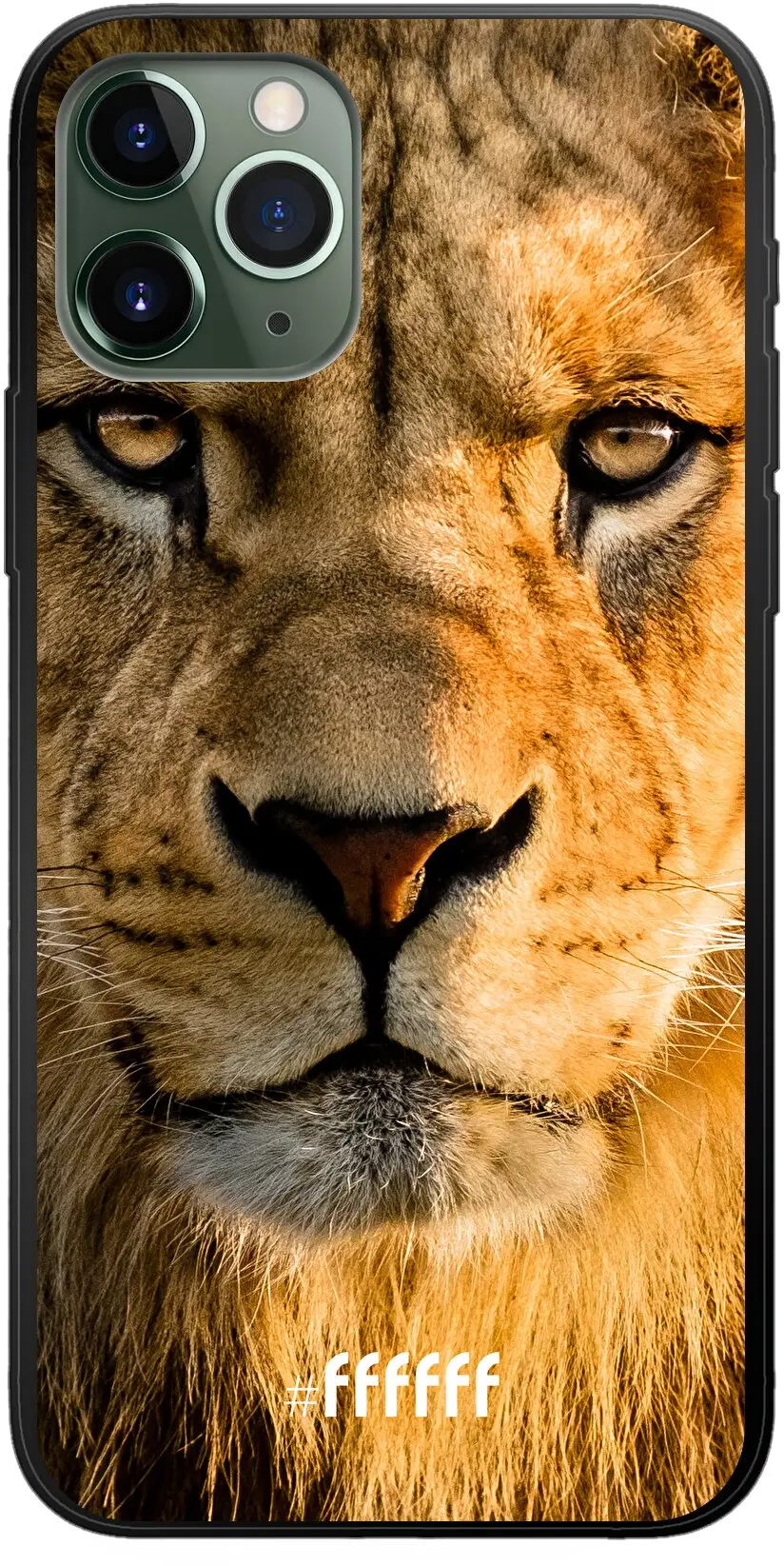 Leo iPhone 11 Pro