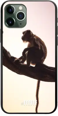 Macaque iPhone 11 Pro