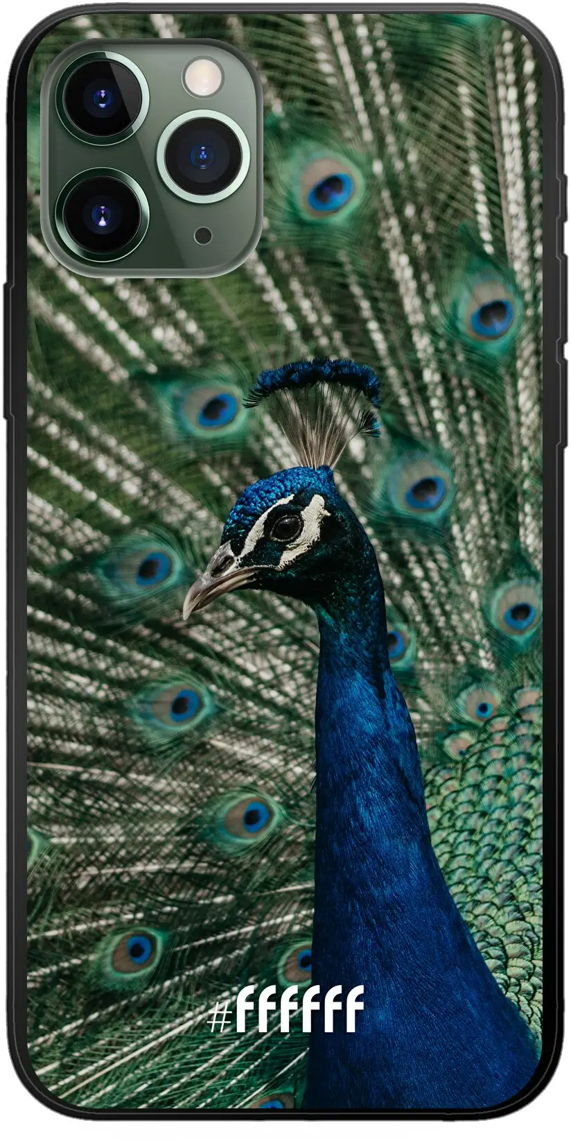 Peacock iPhone 11 Pro