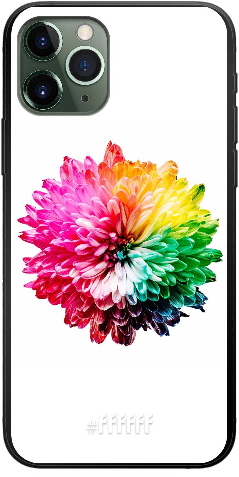Rainbow Pompon iPhone 11 Pro