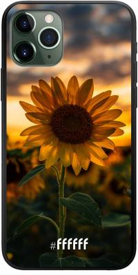 Sunset Sunflower iPhone 11 Pro