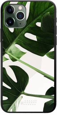 Tropical Plants iPhone 11 Pro