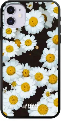 Daisies