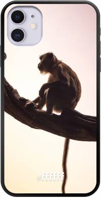 Macaque iPhone 11