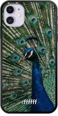 Peacock iPhone 11