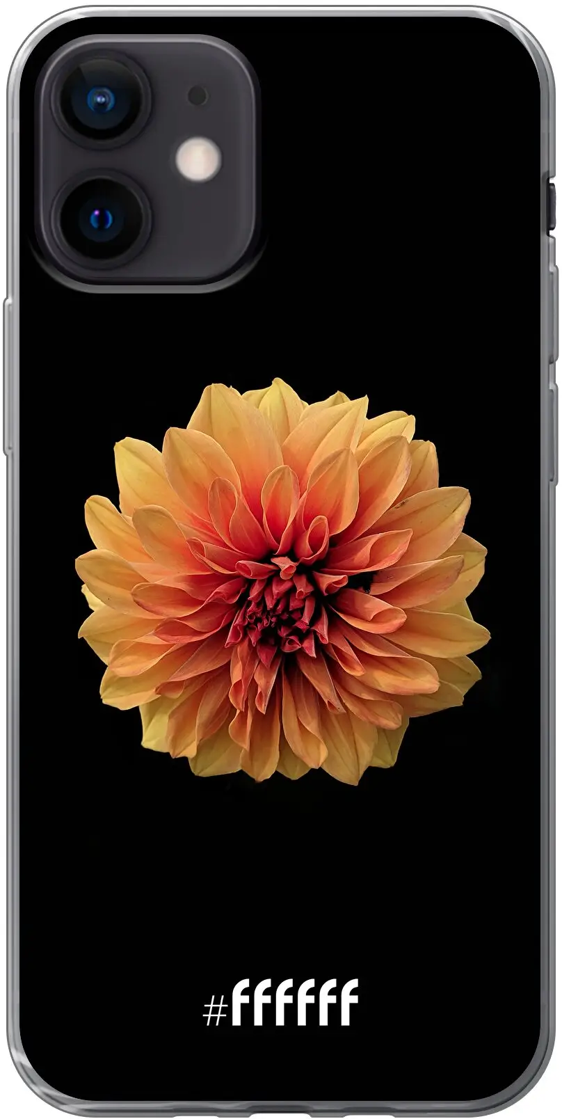 Butterscotch Blossom iPhone 12 Mini