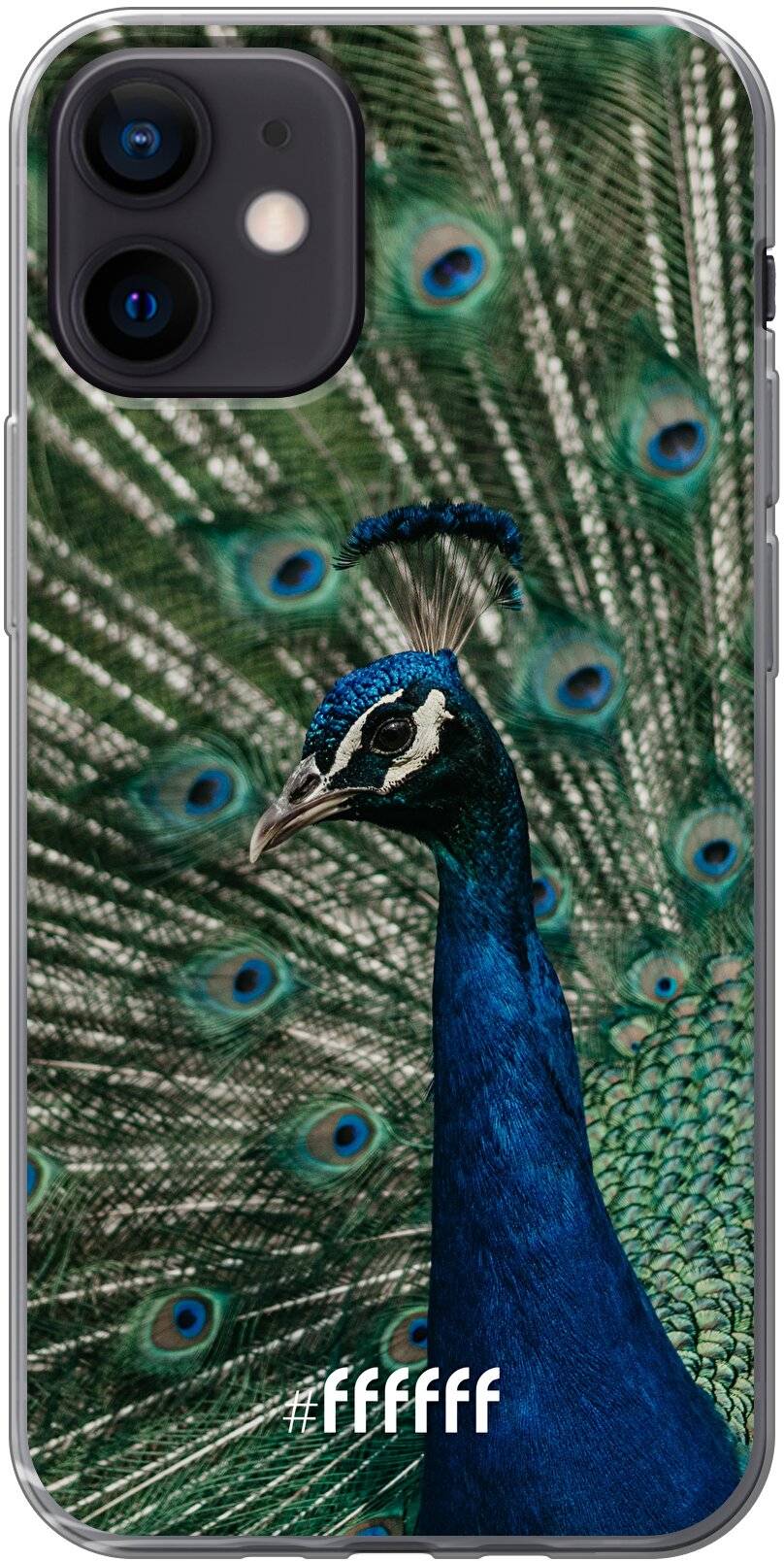 Peacock iPhone 12 Mini
