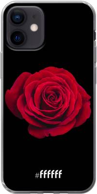 Radiant Rose iPhone 12 Mini