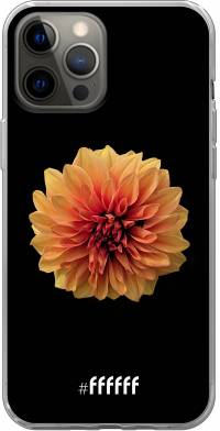 Butterscotch Blossom iPhone 12 Pro Max