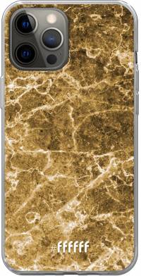 Gold Marble iPhone 12 Pro Max