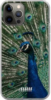 Peacock iPhone 12 Pro Max